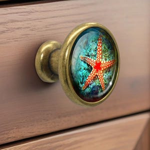Starfish - Drawer Knobs Pulls Handles Dome Cabochon Knob Handmade Knob Drawer Knob Dresser Pull Knobs Handles Cabinet Pull Hardware