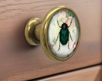 Beetle - Drawer Knobs Pulls Handles Dome Cabochon Knob Handmade Knob Drawer Knob Dresser Pull Knobs Handles Cabinet Pull Hardware