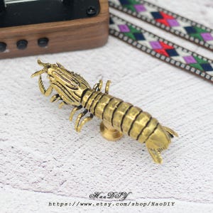 Mantis Shrimp Solid Brass Knob Cabinet Pulls Drawer Knob Dresser Pull Knobs Handles Kitchen Knobs Pulls Cabinet Pull Hardware
