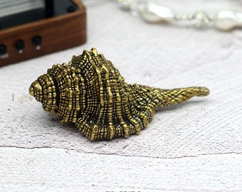 Bronze Muschel Massiv Messing Knauf Möbelknäufe Schubladenknäufe Möbel Knäufe Griffe Küche Knäufe Pull Knäufe Schrank Knäufe