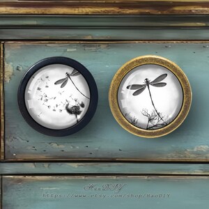 May include: Two decorative cabinet knobs with dragonfly designs. One knob has a black frame, the other a gold frame. Each knob features a black and white image of a dragonfly and plants. The knobs are set against a blue-green painted surface.