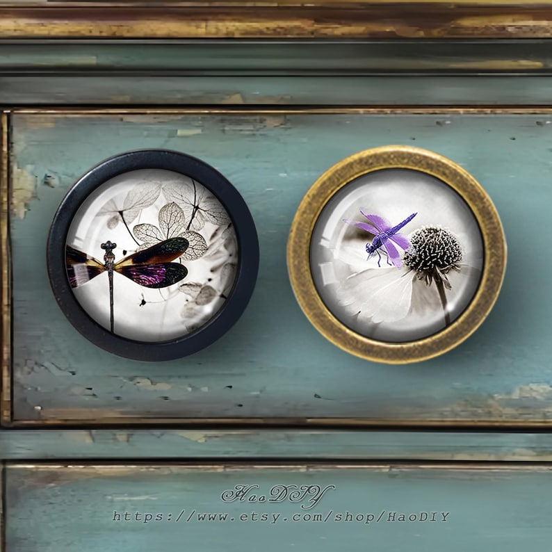 Puede incluir: Dos pomos redondos para armarios con dise&ntilde;os de lib&eacute;lulas. Uno tiene un marco negro y presenta una lib&eacute;lula con acentos morados y verdes sobre un fondo blanco y gris. El otro pomo tiene un marco dorado y una lib&eacute;lula morada.