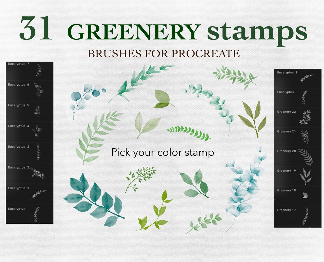 Eucalyptus & Greenery Procreate Stamp Brushes: Watercolor Botanical ...