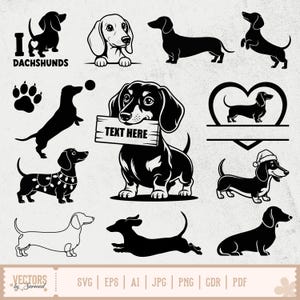 Teckel SVG-bundel, teckel silhouet, teckel png, teckel clipart, teckel overzicht SVG, schattige worstje hond SVG