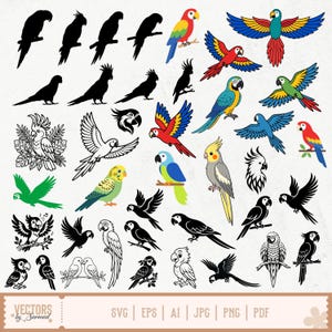 May include: A collection of parrot illustrations in various styles. Includes colorful parrots with spread wings, perched on branches, and in silhouette. The image also features text that reads "VECTORS by Sarmad" and file type abbreviations.