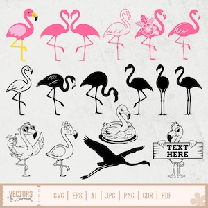 Pode incluir: Uma coleção de ilustrações de flamingos em várias poses e estilos. Alguns são rosa, alguns são pretos e alguns são delineados. Um flamingo usa óculos de sol e outro segura uma placa com "TEXT HERE".