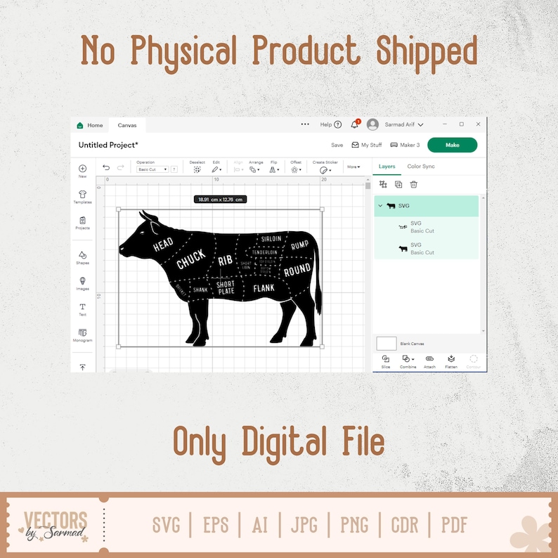 Beef Cuts SVG, Primal Beef SVG, Butcher Cuts Png, Butcher Chart Vector ...
