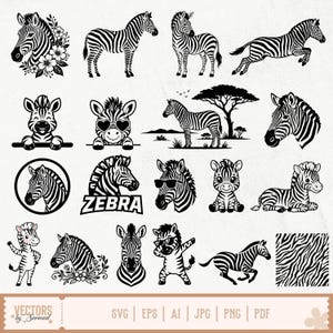 Può includere: Una collezione di illustrazioni di zebre in bianco e nero con varie pose, tra cui in piedi, in corsa, sedute e con occhiali da sole. Il set include accenti floreali, un paesaggio, una cornice circolare e un motivo a strisce di zebra.