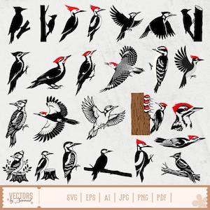 May include: A collection of woodpecker illustrations in various poses and styles. The birds are depicted in black and white, with some featuring red crests. The image includes birds perched on branches, flying, and pecking at wood. The bottom of the image includes the text "VECTORS by Sarmad" and file type options.