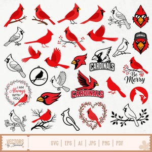 Op de afbeelding: Een verzameling illustraties van kardinaalvogels in verschillende houdingen, waaronder vogels op takken, vliegend en gestileerde mascottekoppen. Sommige ontwerpen bevatten tekst zoals Cardinals, Be Merry en I Am Always With You in rood en zwart.
