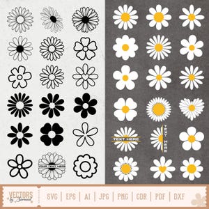 May include: A selection of daisy flower designs in black and white, and white with yellow centres. The designs include various styles, from simple outlines to detailed petals. The image also includes the text "YOUR TEXT HERE" and "TEXT HERE".