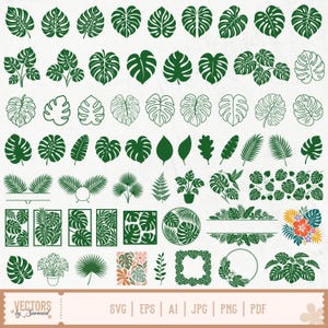Könnte beinhalten: Eine Sammlung dunkelgrüner tropischer Blattillustrationen, darunter Monstera-, Palmen- und Farnarten. Das Set enthält einzelne Blätter, Topfpflanzen, kreisförmige und rechteckige Rahmen sowie florale Arrangements mit dem Text VECTORS by Sarmad.
