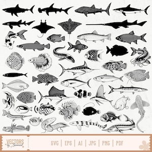 Fish SVG Bundle, Freshwater Fish Svg, Ocean Fish Svg, Deep Sea Fish Svg, Fish Silhouette, Fish Cut Files, Fish Clipart, Fish Vector