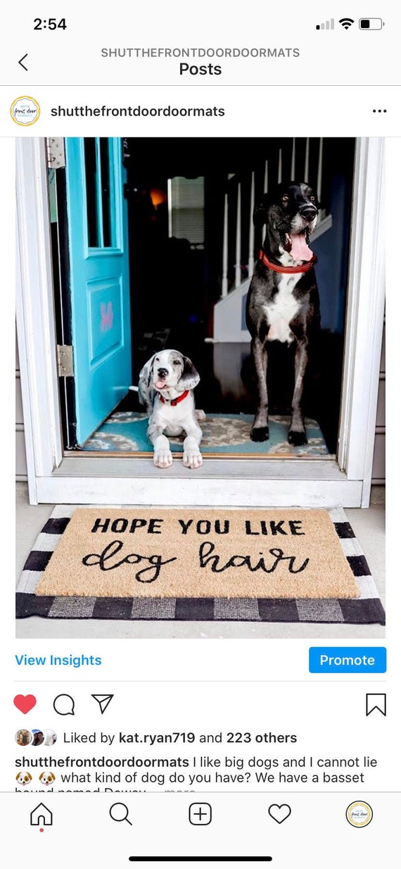 Funny Doormats, Big Dogs Funny Doormat