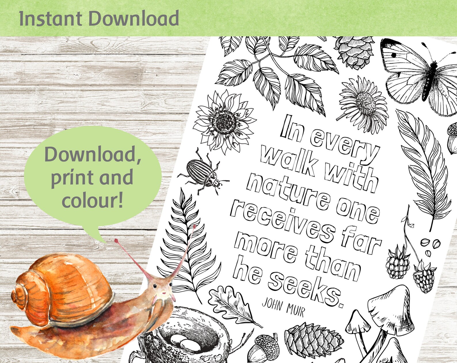 Nature Walk Printable Colouring Page Instant Digital | Etsy