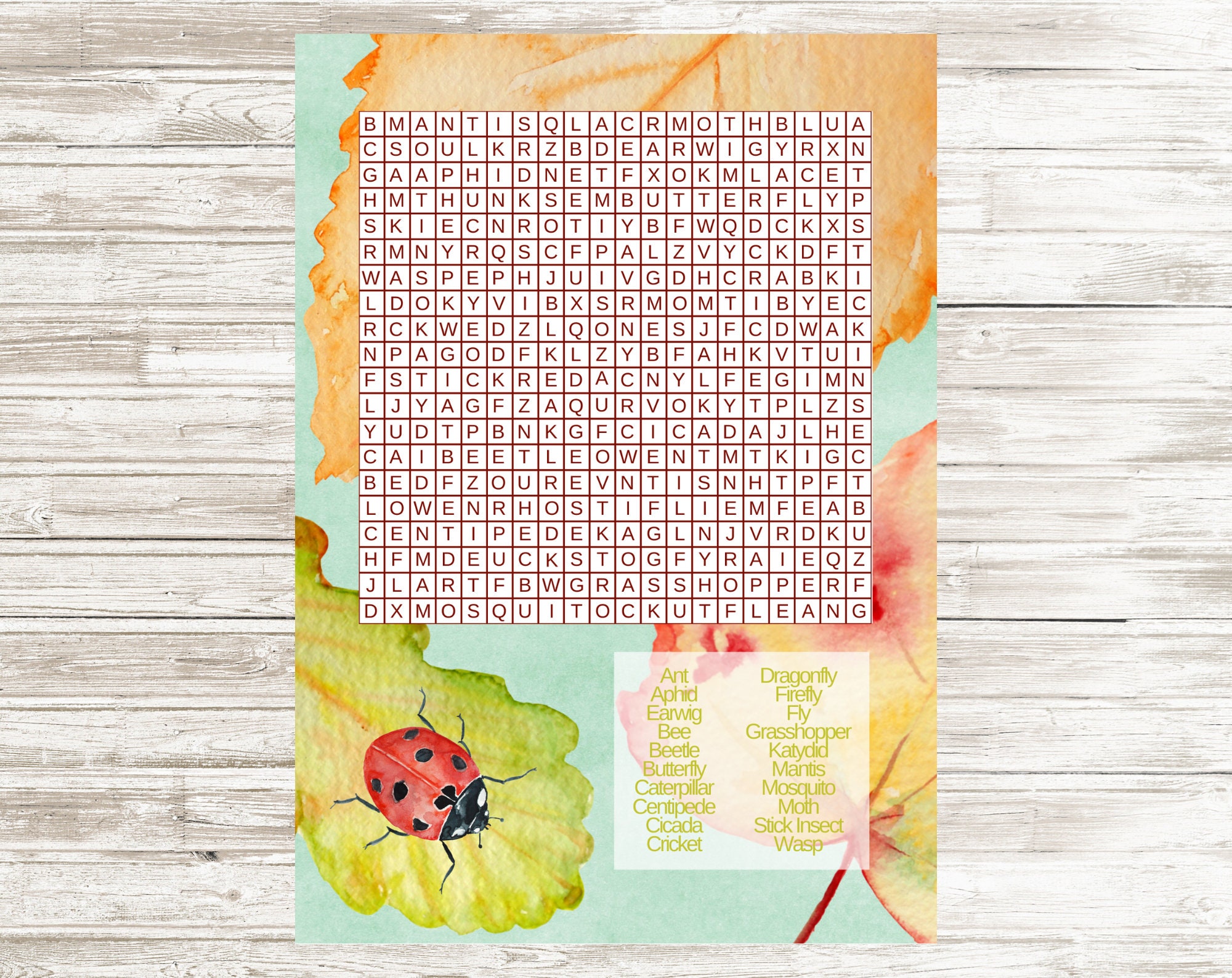Insect Word Search Digital Download Homeschool Printable Etsy