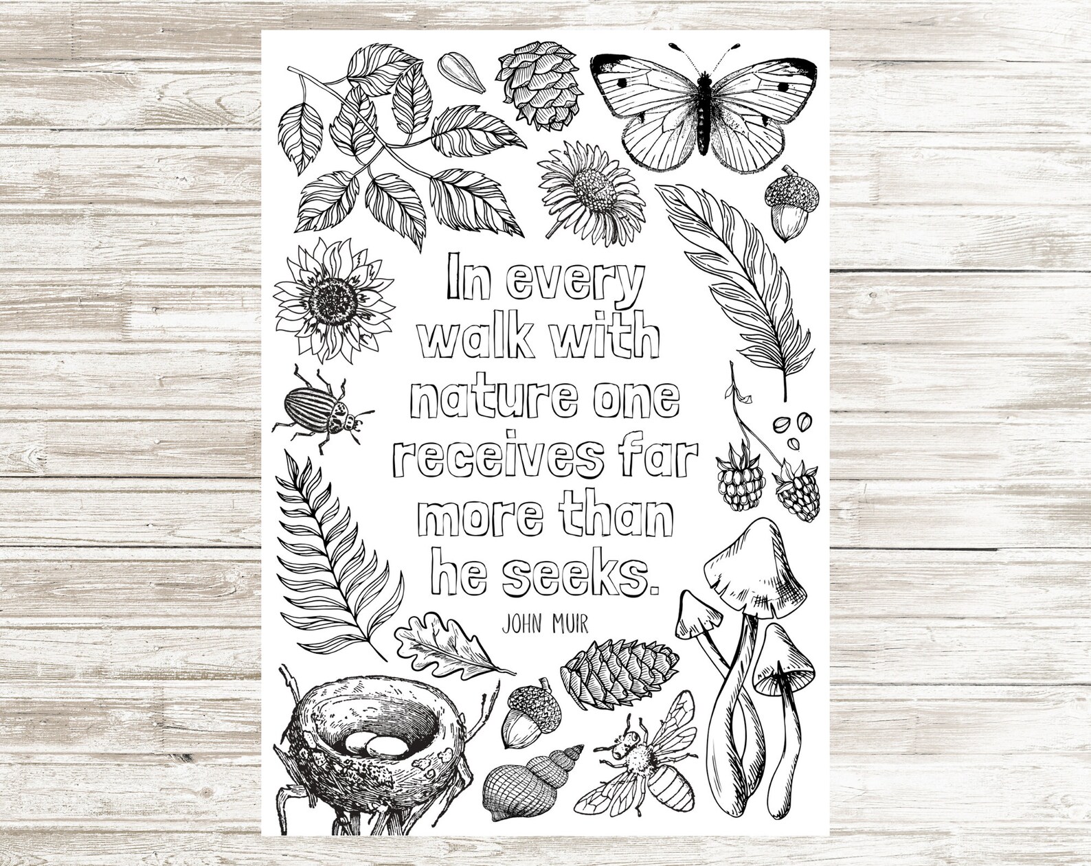 Nature Walk Printable Colouring Page Instant Digital | Etsy