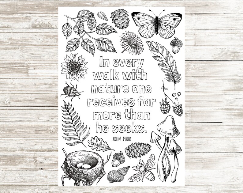 Nature Walk Printable Colouring Page Instant Digital | Etsy
