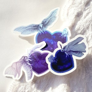Set di adesivi olografici falene di seta (3 pezzi) / Collezione Minibeast / Finitura opaca / Fairycore / Simpatiche creature di insetti / Amici di San Valentino