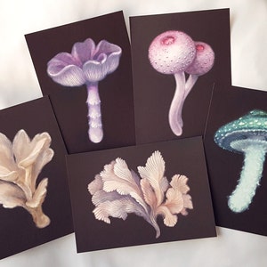 Velvet Mushroom Print Set (5pcs) / Mycology Collection / Matte Velvet Finish / Witchcore / Mycelium Art / Dark Cottagecore / Gothic Fungi