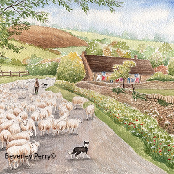 Print of original Cotswold landscape Watercolour painting 'Off to new pastures ' by Beverley Perry  village scene Naunton Typically English