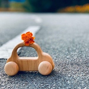 Wooden toy car | Wood hand push toy car | Push mini car | Pretend play gift Made in Ukraine
