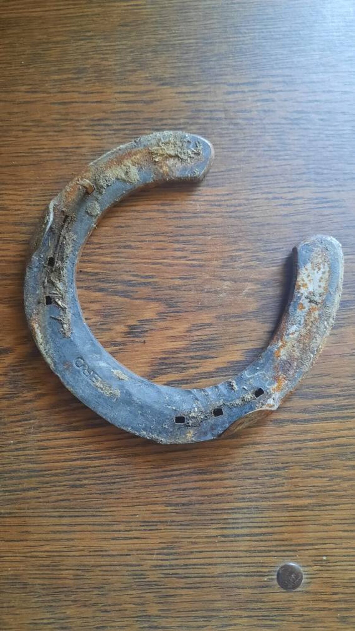 Pince à Cravate MURAT Fer à Cheval – Plaqué Or – Porte-bonheur Vintage – Haute Qualité