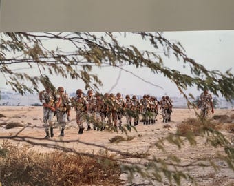 Bahrain Defence Force