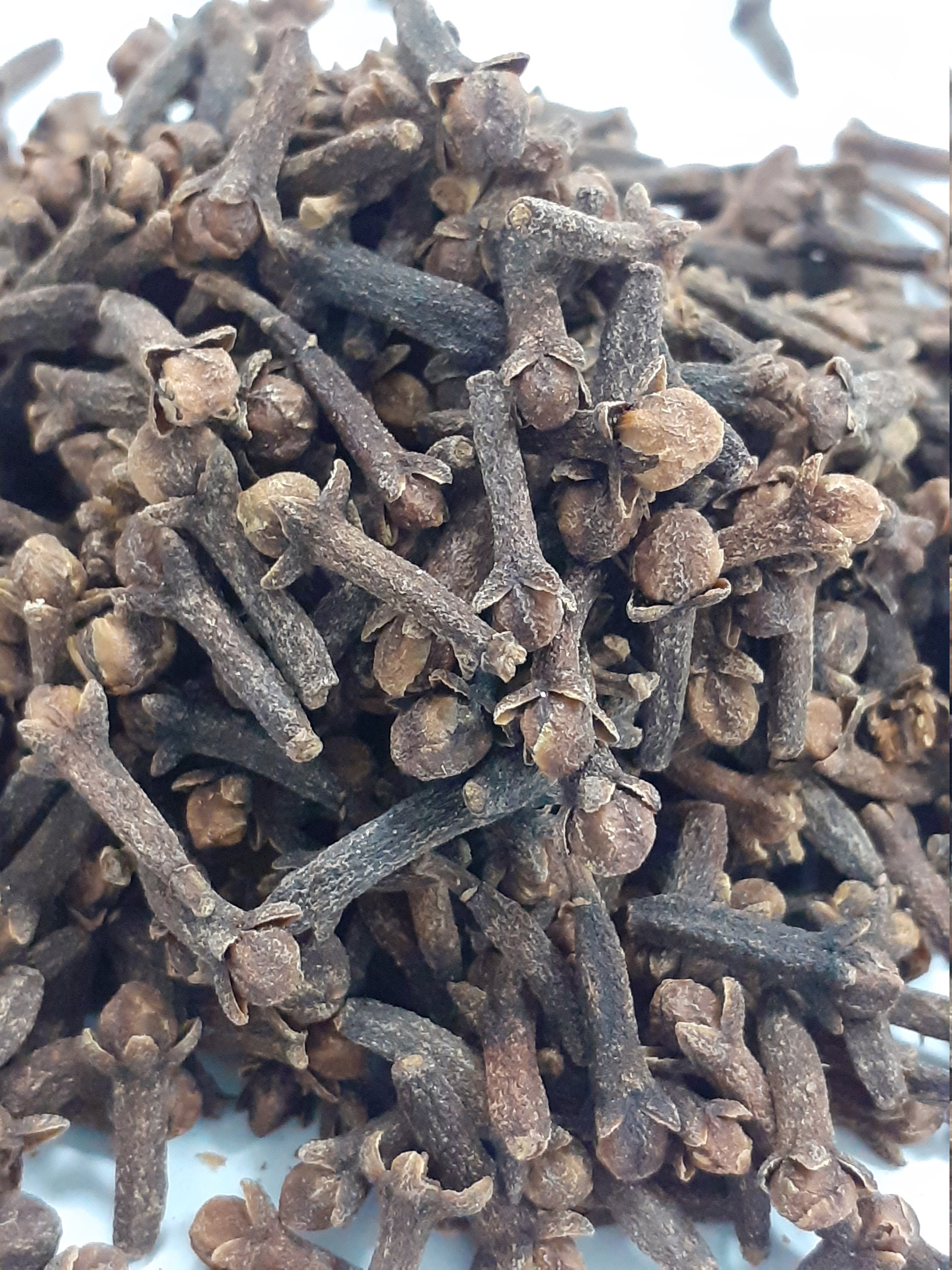 10gr. Organic Cloves Whole from Zanzibar Etsy