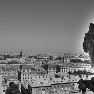 Stryga the Spitting Gargoyle black white Notre Dame photo Paris France wall art photography print
