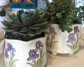 Iris Succulent Planter, Ceramic Planter