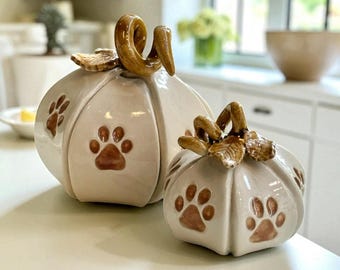 Paw Print Pumpkin, Pet Pumpkin