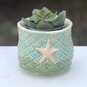 May include: A small, green ceramic planter with a mermaid scale design and a white starfish. The planter is filled with a succulent plant.