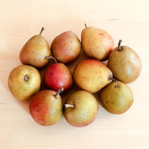 Puede incluir: Una colección de peras maduras, que muestra una variedad de colores que van del verde al rojo y al amarillo. Las peras están dispuestas sobre una superficie de madera clara, con los tallos visibles. La imagen destaca las texturas y tonalidades naturales de la fruta.