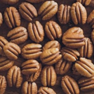 Elliott Pecan Tree 4-5 ft, Grafted, Over sized, Bare root, Not for CA, January-April