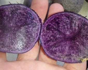 Puede incluir: Dos mitades de una patata morada, mostrando la pulpa interior. La patata tiene un color morado intenso con un tono morado ligeramente más claro en el centro.
