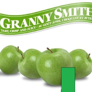 12-18&quot; hoge Grandma Smith-appelboom, geënt, slapend, wortels gewikkeld in natte media