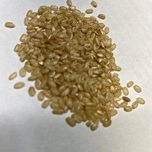 May include: A close-up view of a pile of brown rice grains on a white surface.
