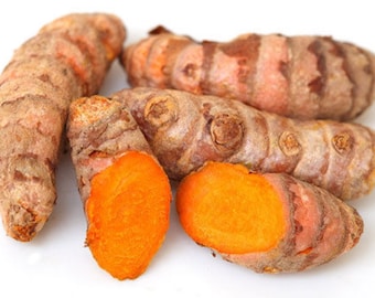 8 żywych korzeni kurkumy, Curcuma Longa, do sadzenia lub jedzenia, sprzedawca z USA