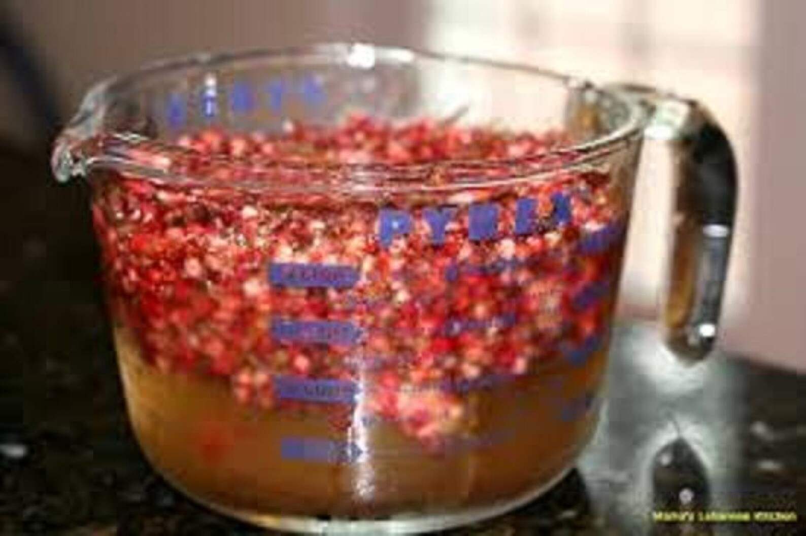 Staghorn Sumac 1 Year Old Pink Lemonade Plant Bare Root Etsy