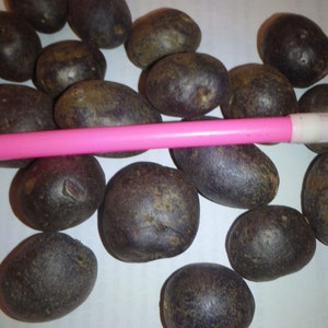 May include: A group of dark purple potatoes on a white surface with a pink pen for scale.