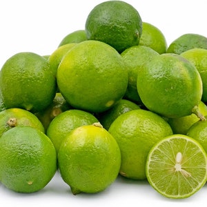 California only!! Mexican Key Lime Tree, 18-36&quot; tall, grafted tree
