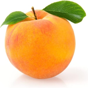 Könnte beinhalten: Ein reifer Pfirsich mit leuchtenden Orange- und Rottönen und einer strukturierten Oberfläche. Zwei grüne Blätter und ein brauner Stiel sind oben am Obst befestigt. Der Pfirsich ist vor weißem Hintergrund isoliert.
