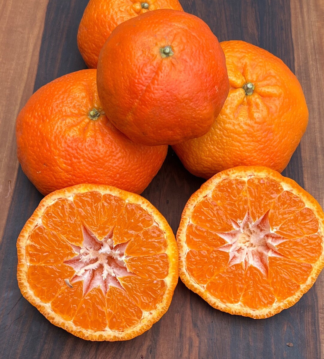 California Only!! Yosemite Gold Semi-dwarf Mandarin Tree, 24-36