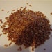 Mightyoaktreenursery Purple Rice Seeds – 400 Viable Organic Seeds, Forbidden Nutty Flavor, Easy To Grow