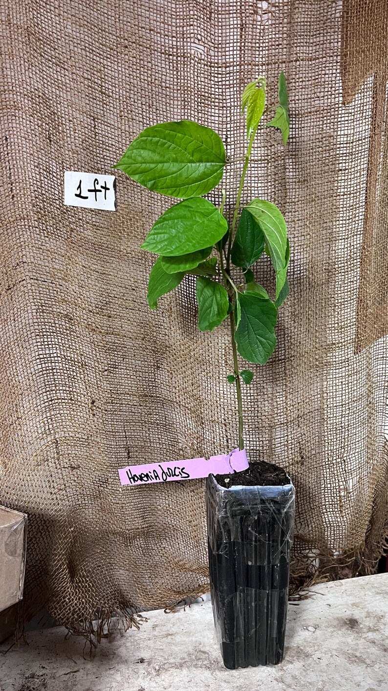 8-12