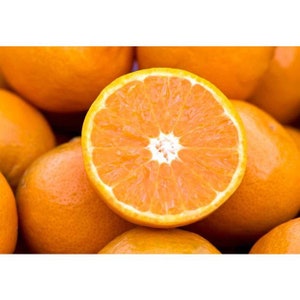 May include: A close-up of several oranges, with one sliced in half to reveal the juicy interior. The oranges are a vibrant orange color, with a rough texture on the peel. The cut orange shows a white, star-shaped center.