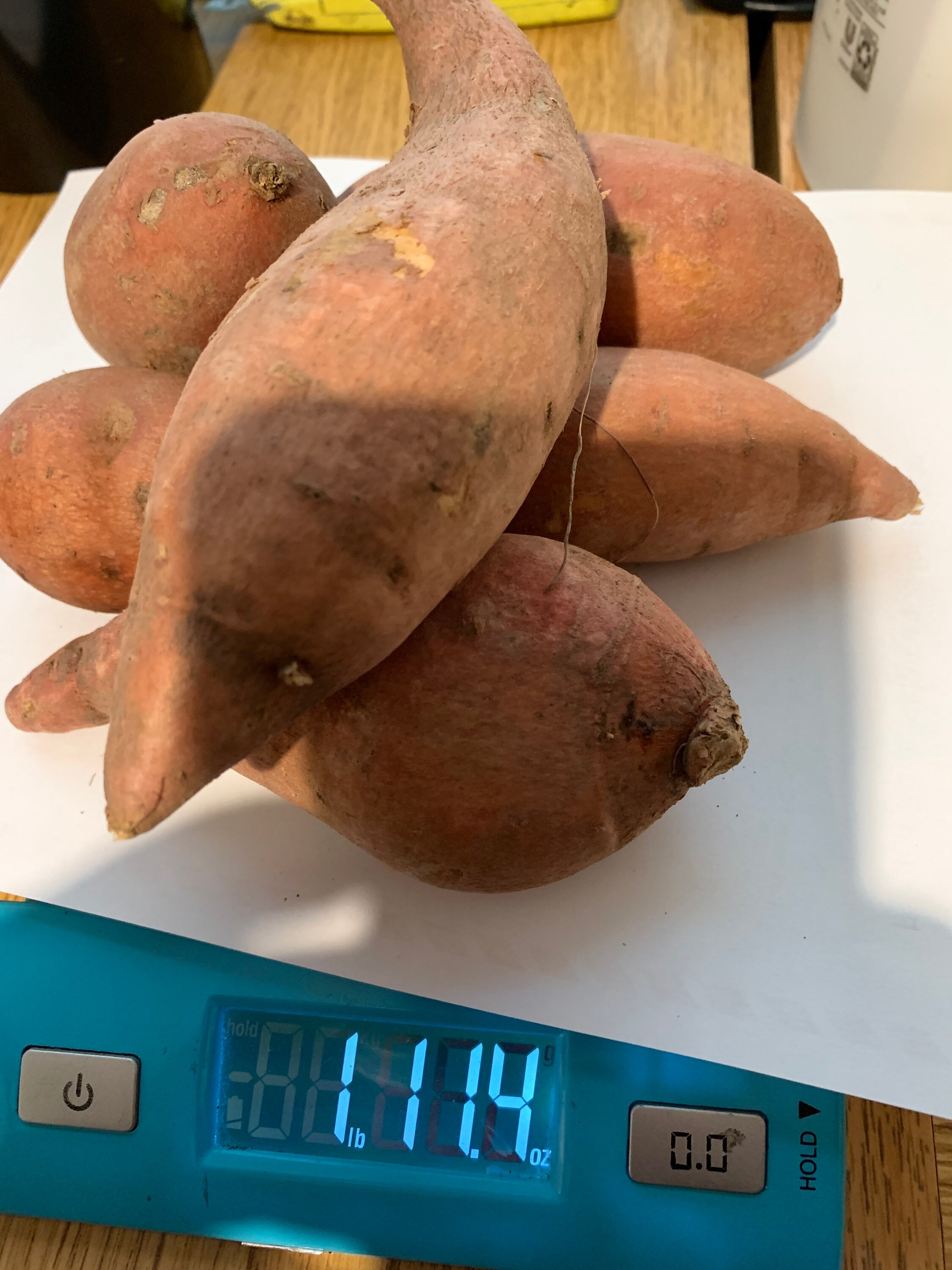 2 Tubers of Organic Sweet Potatoes Red Skin Yams Etsy