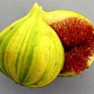 May include: A close-up of a fig, one whole and one cut in half. The whole fig is yellow with green stripes. The cut fig reveals a deep red interior. The fruit is ripe and ready to eat.