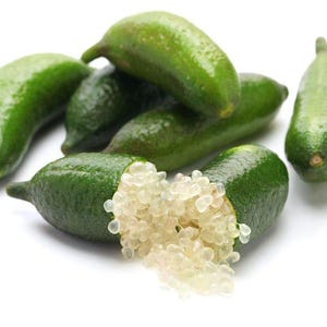 California only!! Australian Finger Lime Tree, 24-36 inches tall grafted semi-dwarf plant.